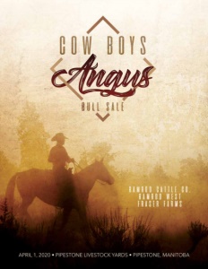 Cover300