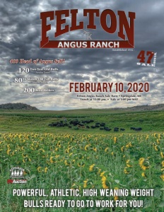 Cover300