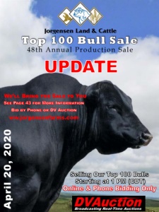 Cover300