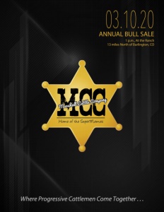 Cover300