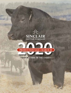 Cover300