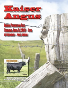Cover300