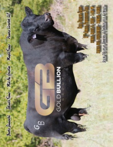 Cover300