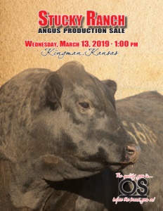 Cover300