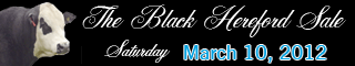 2012_black_hereford_banner
