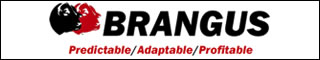 Brangus_banner2