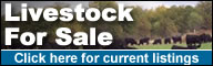 Classifieds_banner