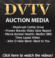 Dvtv_ad_1