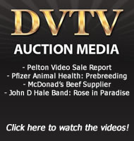 Dvtv_ad_2