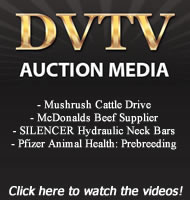Dvtv_ad_feb_1