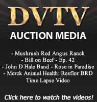 Dvtv_ad_feb_2