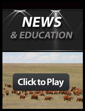 News_education_button