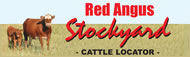 Red_angus_stockyard