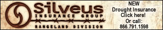 Silveuslogo_homepage