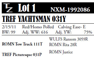 Catalog Image