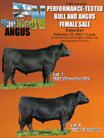 Catalog