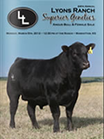 Catalog