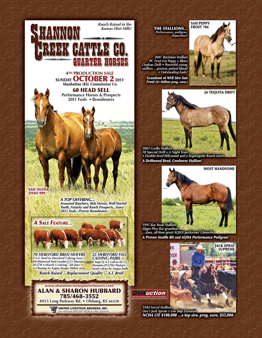 horses