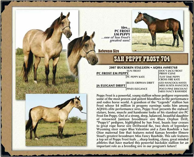 horses