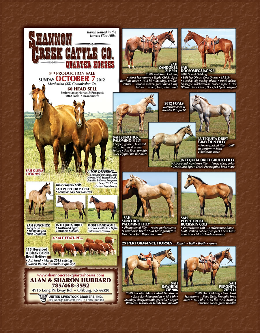 horses