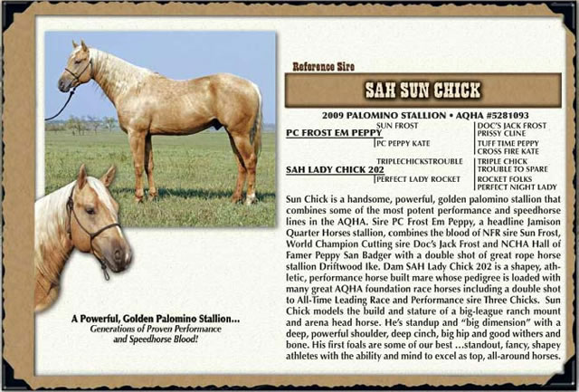 horses