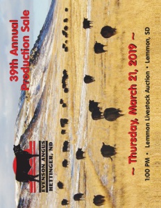 Cover300
