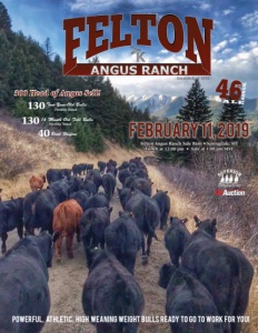 Cover300