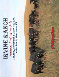 Cover300