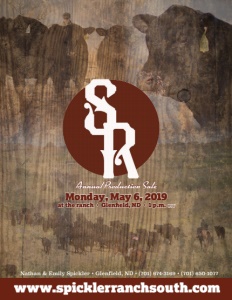 Cover300