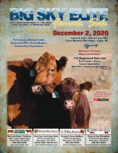 Cover300