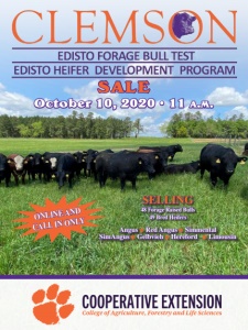 Cover300