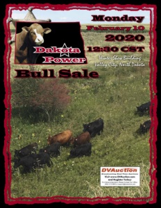 Cover300