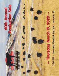Cover300