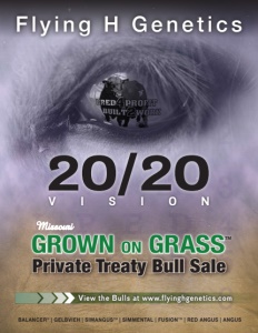 Cover300