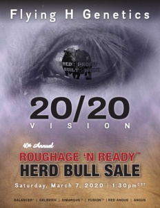 Cover300