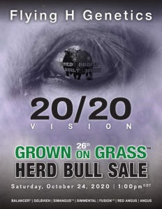 Cover300