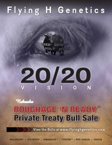 Cover300