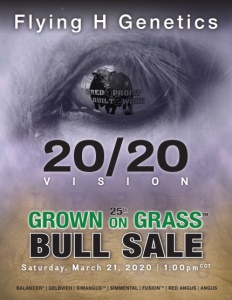Cover300