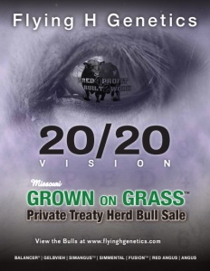 Cover300