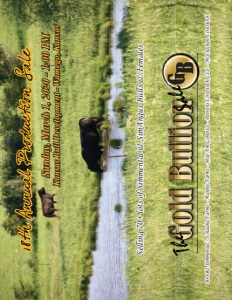 Cover300