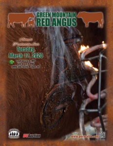 Cover300