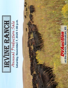 Cover300
