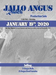 Cover300
