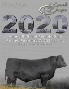 Cover300