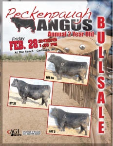 Cover300