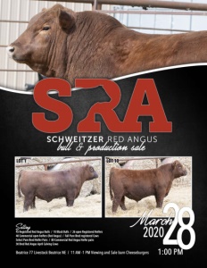 Cover300
