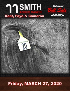 Cover300
