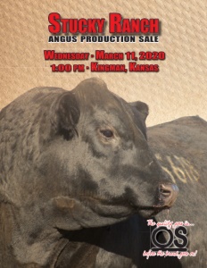 Cover300
