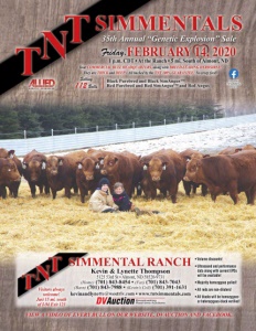 Cover300