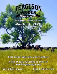 Cover300